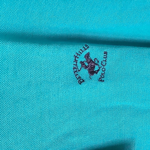NWT polo collared shirt. Stunning color - Picture 2 of 7